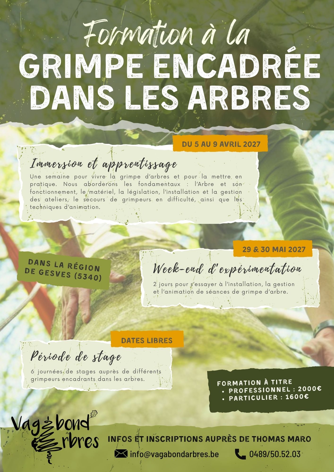 Formation GEA 2027 Formation grimpeur encadrant dans les arbres 2027 Belgique
